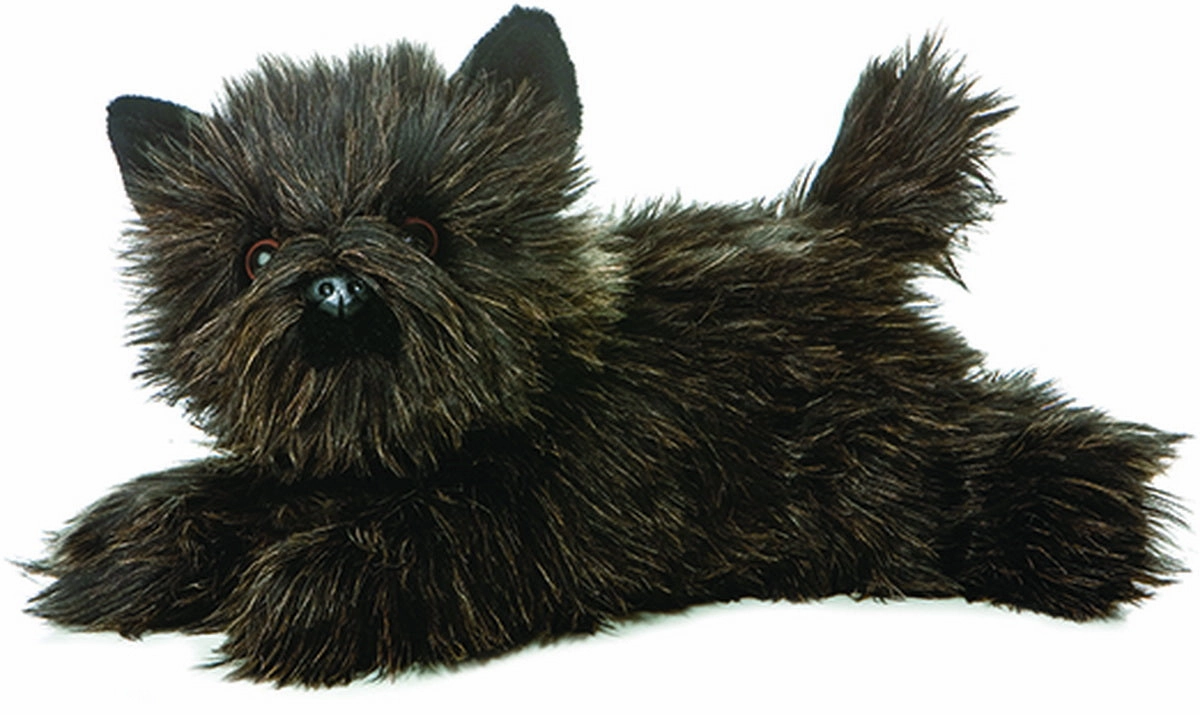 AURORA TOTO TERRIER