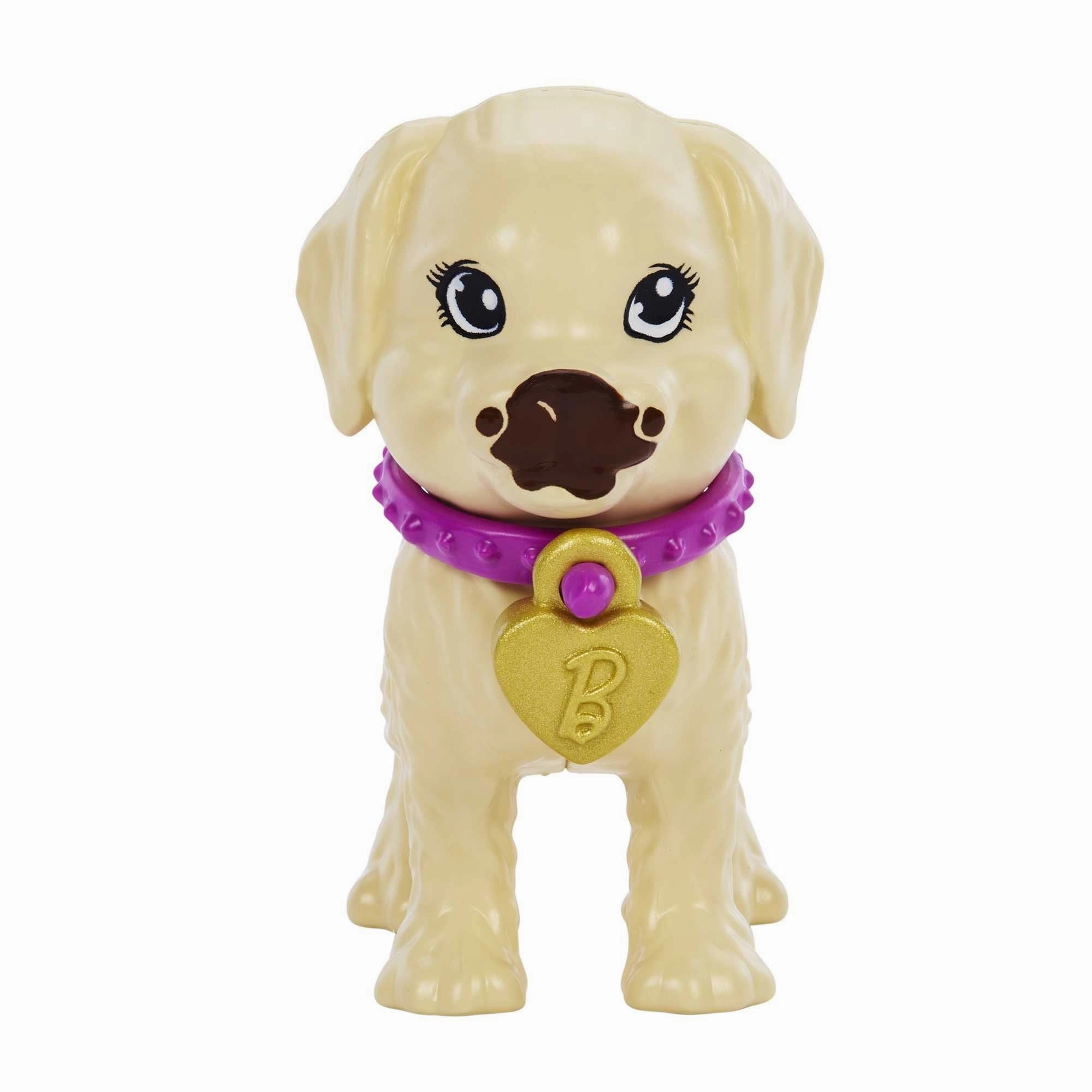 Barbie Pup Adoption Doll And Accessories