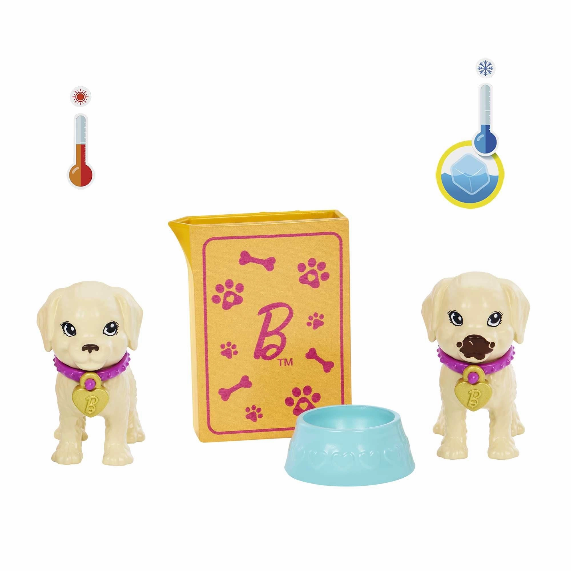 Barbie Pup Adoption Doll And Accessories