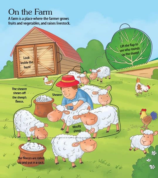 Booktopus Lift-the-Flap Learning Book - Explore The Farm Knowledge Book for Kids - Interactive Learning Books 6 