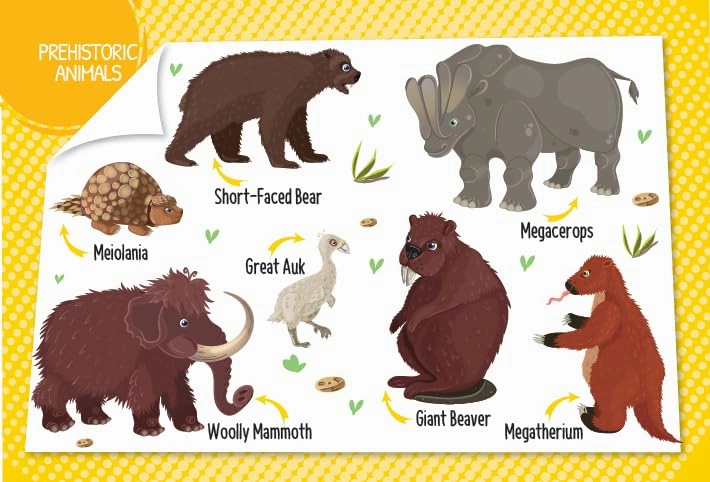 Booktopus Mini Board Book - My First 100 Animals - Early Learning Picture Books for Kids 4 
