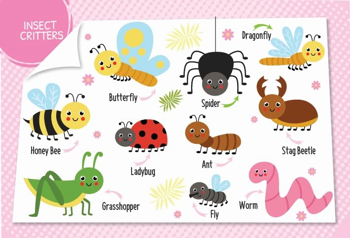 Booktopus Mini Board Book - My First 100 Animals - Early Learning Picture Books for Kids 4 
