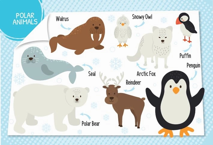 Booktopus Mini Board Book - My First 100 Animals - Early Learning Picture Books for Kids 4 