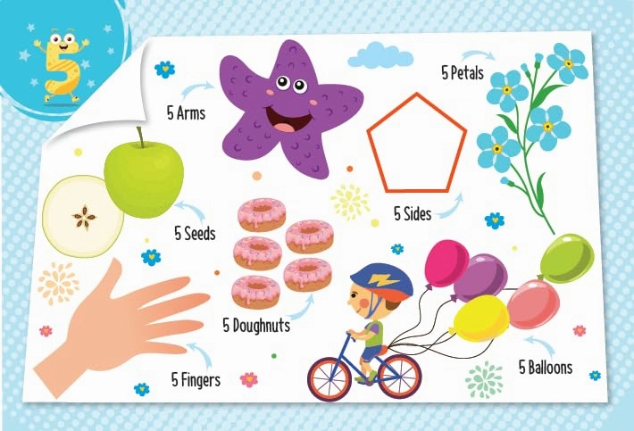 Booktopus Mini Board Book - My First 100 Numbers - Early Learning Picture Books for Kids 4 