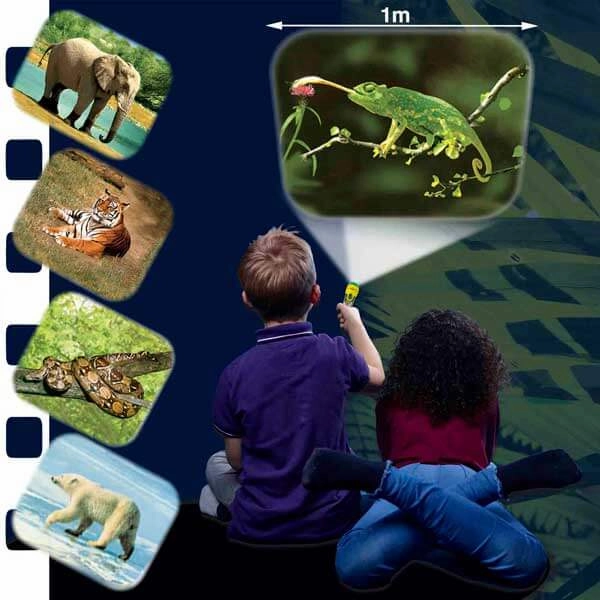 Brainstorm Animal Torch Projector STEM Toy for Children Ages 3 and Up