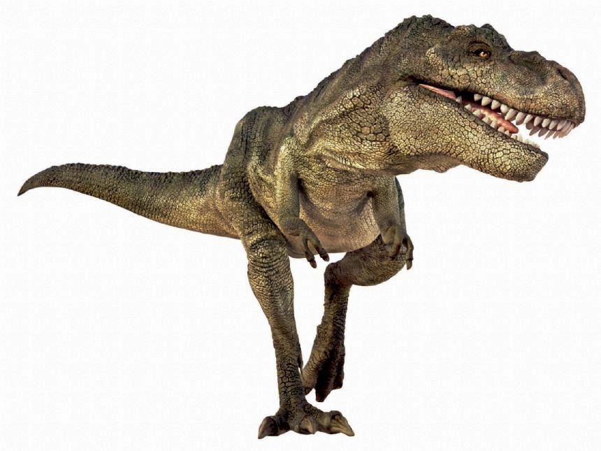 Brainstorm Dinosaur Torch Projector STEM Toy for Children Age 3 and Up