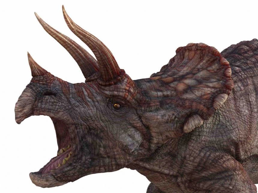 Brainstorm Dinosaur Torch Projector STEM Toy for Children Age 3 and Up