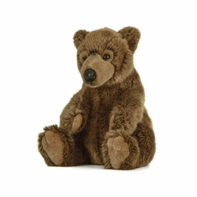 Brown Bear