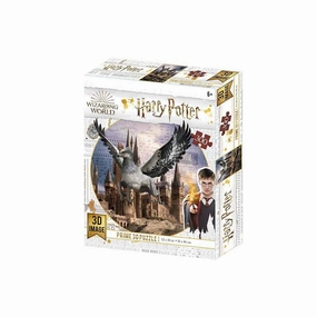 Buckbeak Flying Over Hogwarts