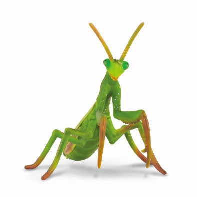 Collecta Praying Mantis Figure (Yellow)