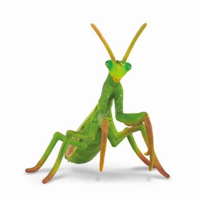 Collecta Praying Mantis Figure (Yellow)