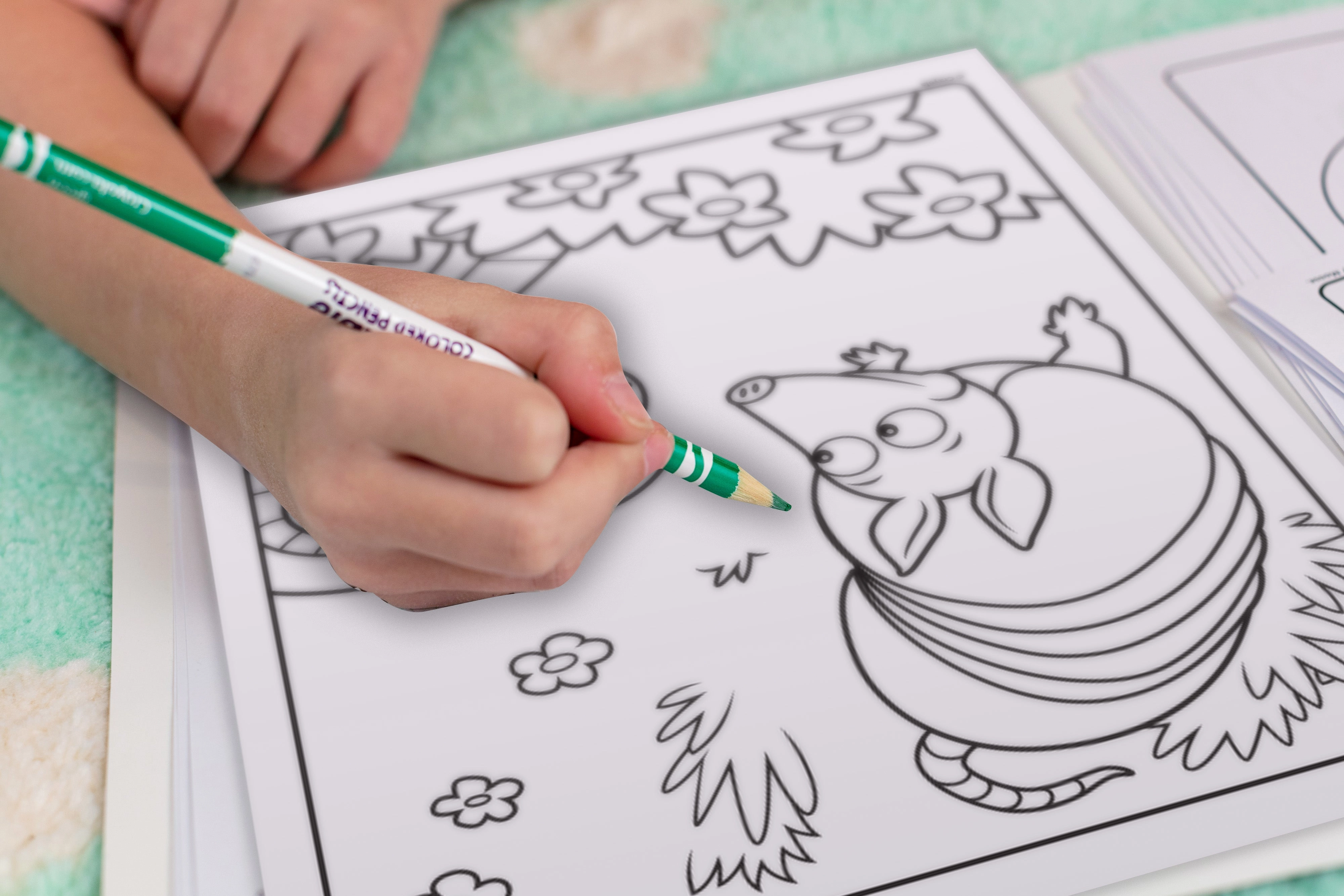 Crayola Animals Colour & Sticker Book