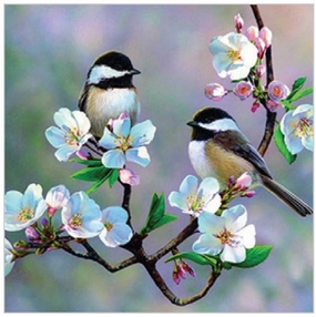 Diamond Art Birds & Cherry Blossoms 30cm X 30cm