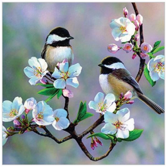 Diamond Art Birds & Cherry Blossoms 30cm X 30cm