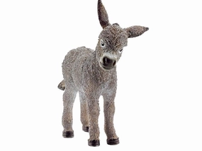 Donkey Foal
