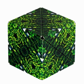Forest Shashibo