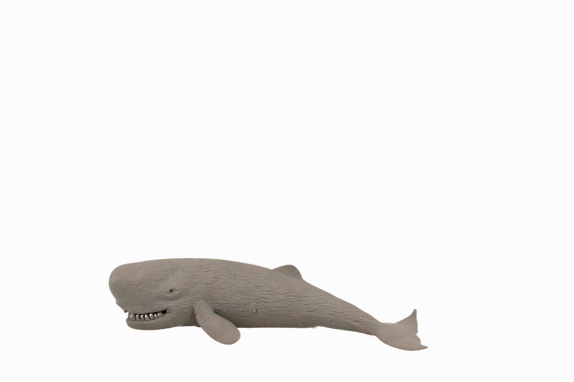 Fumfings Stretchy Beanie Sperm Whale
