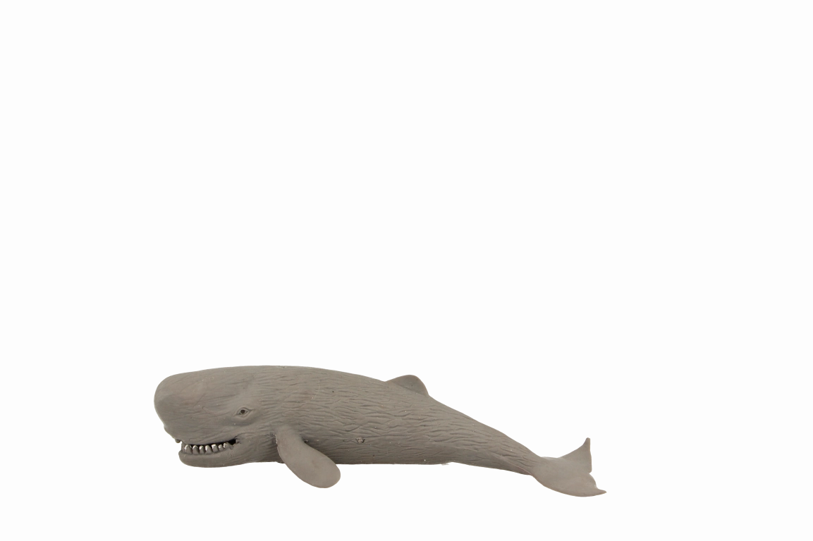 Fumfings Stretchy Beanie Sperm Whale