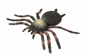 Fumfings Stretchy Beanie Tarantula
