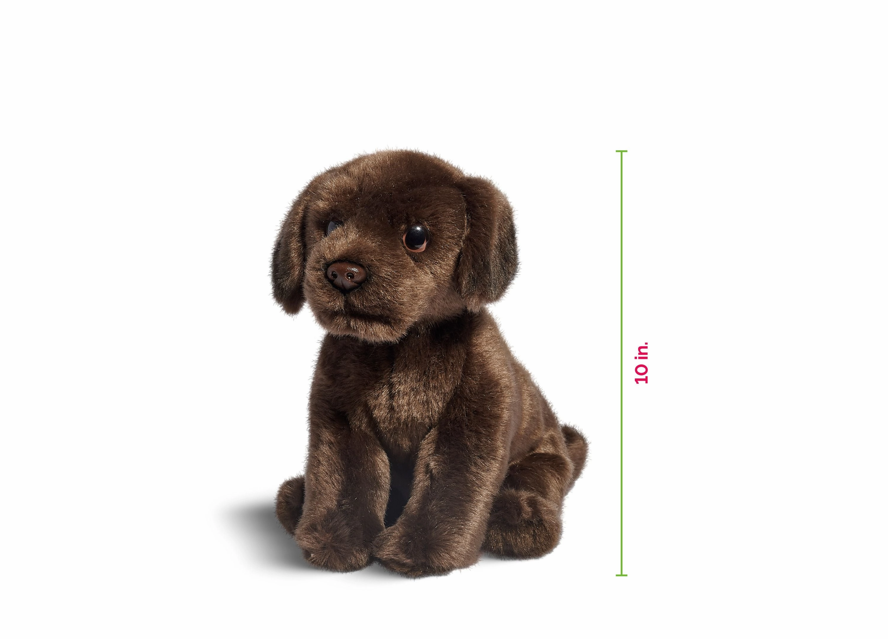 Geoffrey's Toy Box 10-inch Plush Labrador Puppy - Exclusive to Macy's