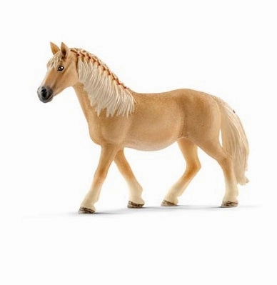 Haflinger Mare