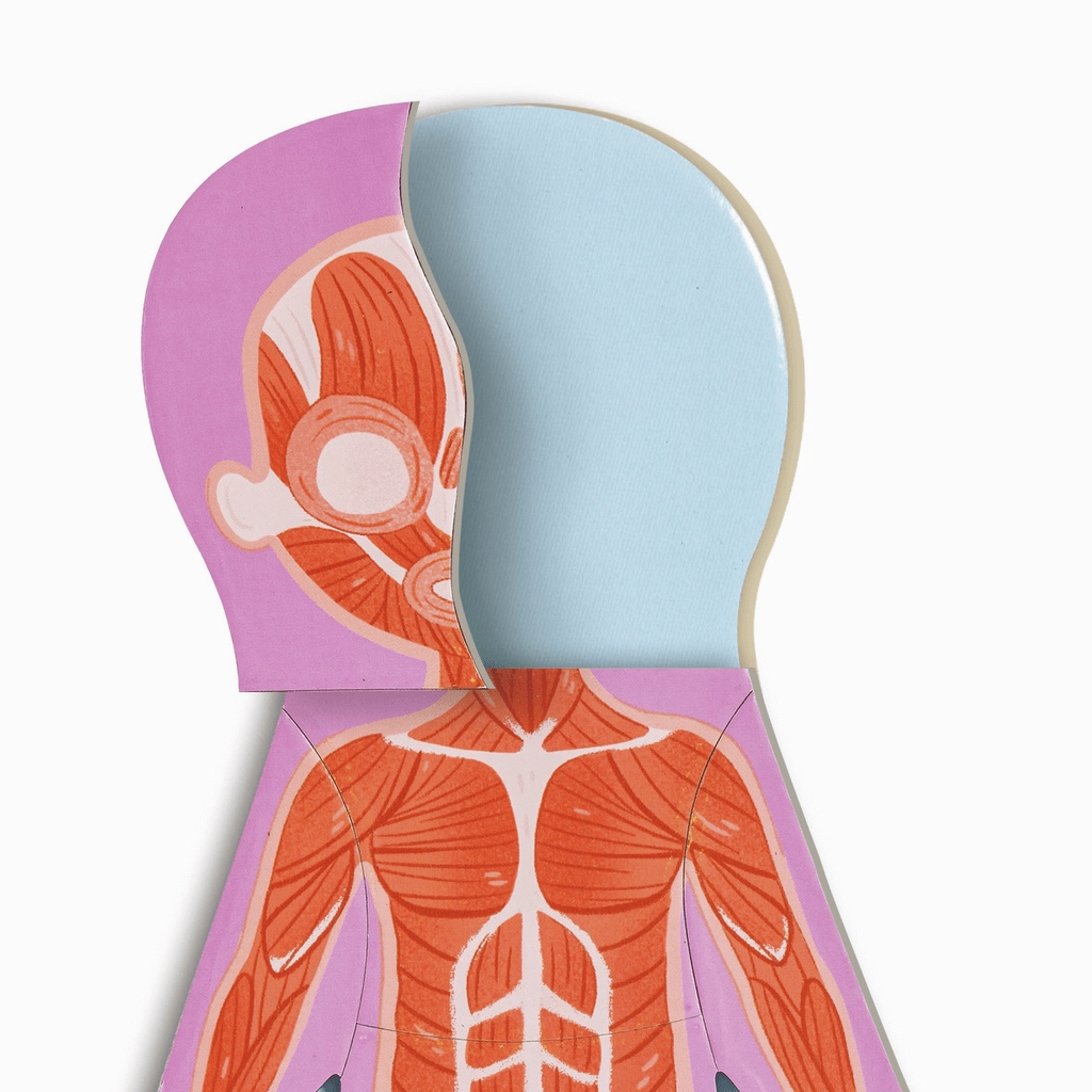 Hape Human Body Educational Magnetic 68 Piece Puzzle for Ages 3 and Up