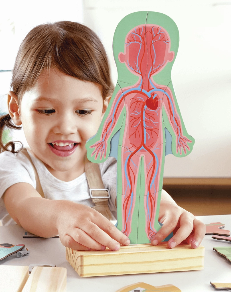 Hape Human Body Educational Magnetic 68 Piece Puzzle for Ages 3 and Up