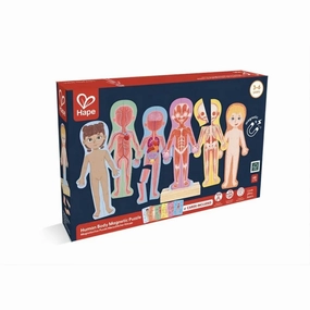 Hape Magnetic Human Body