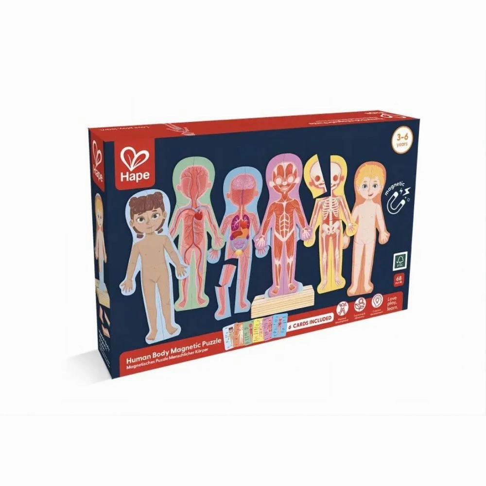 Hape Magnetic Human Body