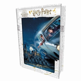 Harry Ron Flying Over Hogwarts