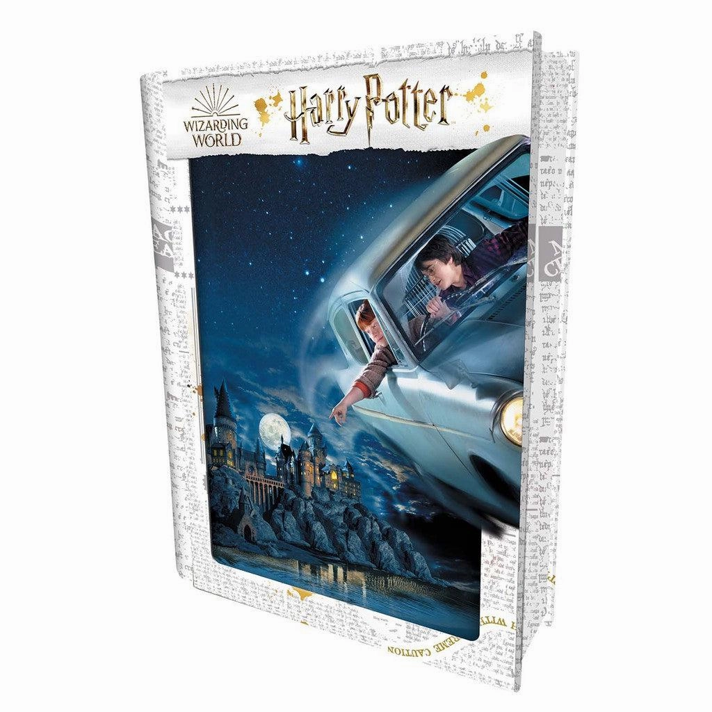 Harry Ron Flying Over Hogwarts