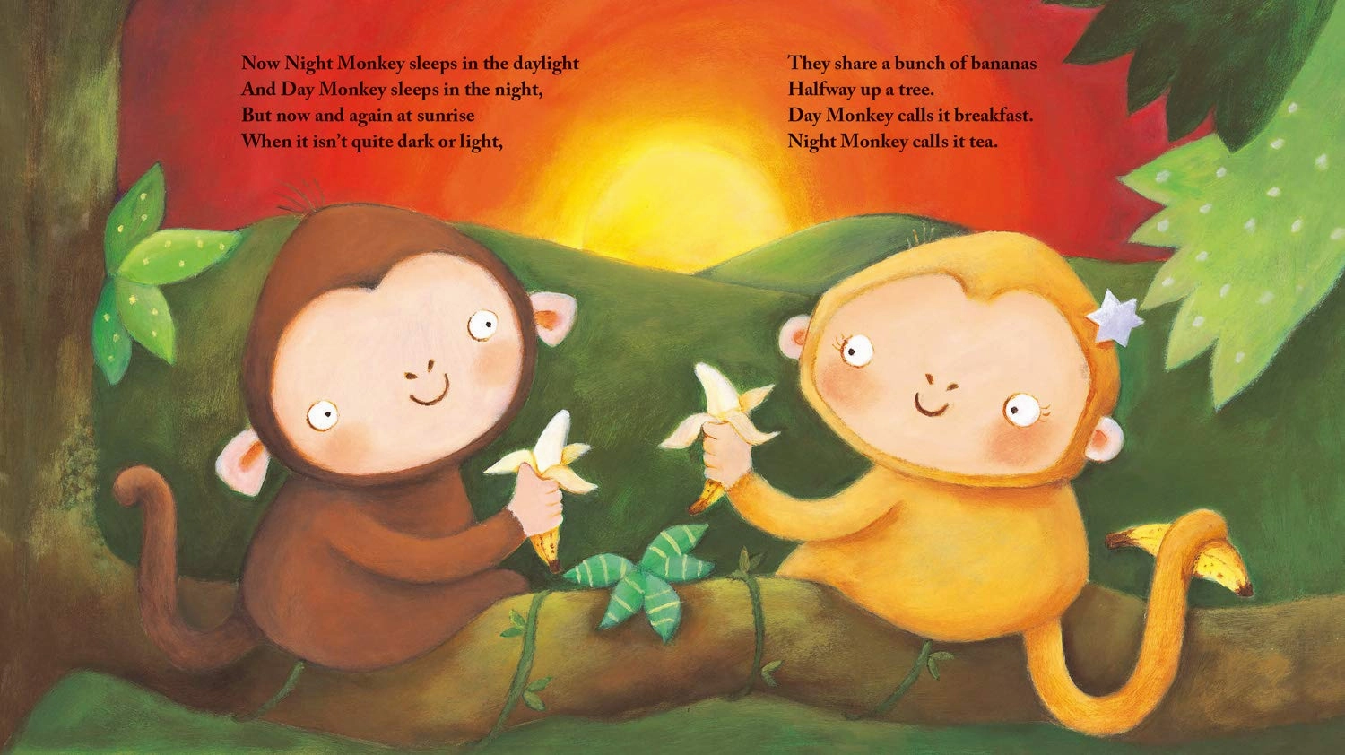 Julia Donaldson Night Monkey, Day Monkey Picture Book for ages 18 months