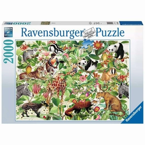 Jungle 2000pc