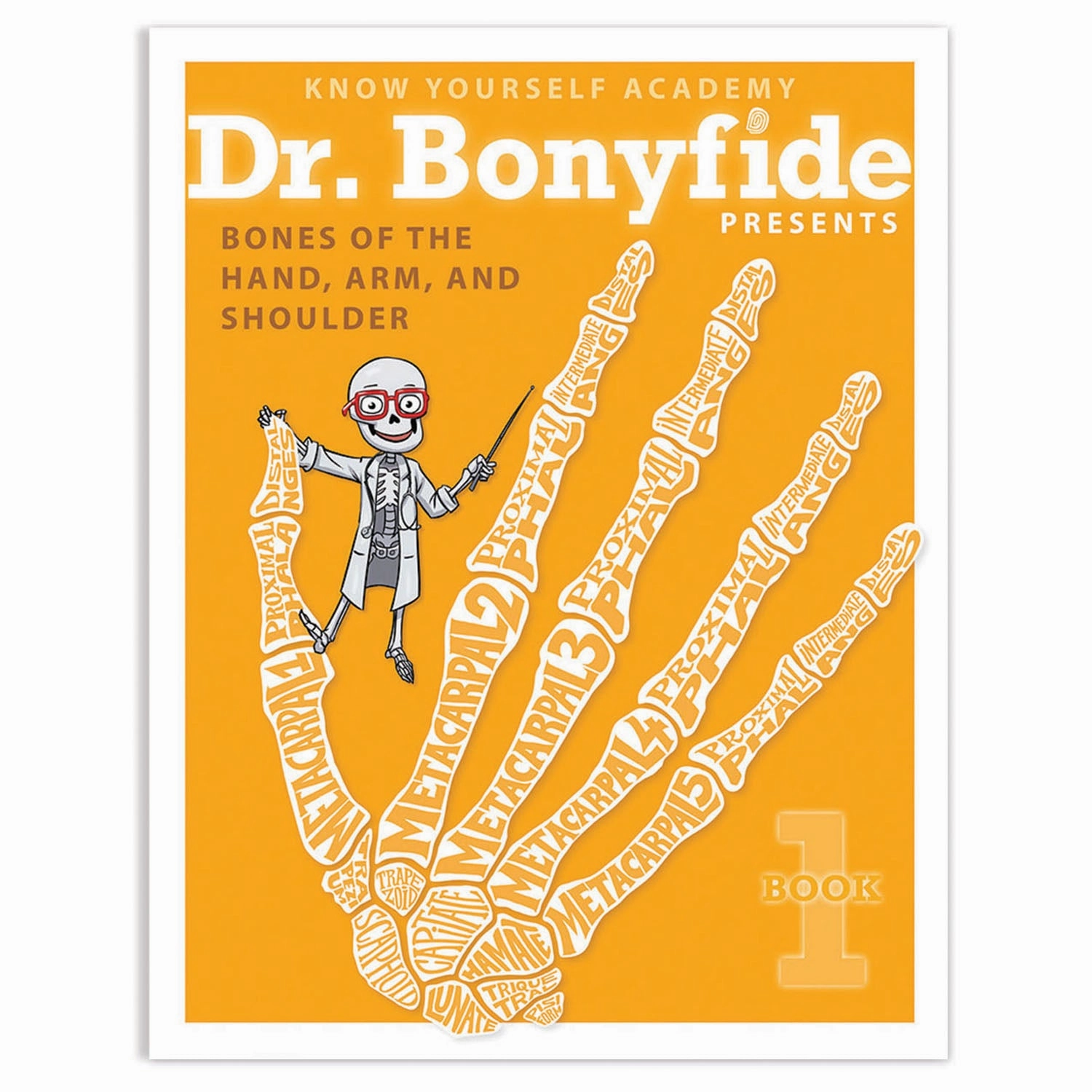 Know Yourself 4 Book Set: Dr. Bonyfide's Guide to the Human Skeleton