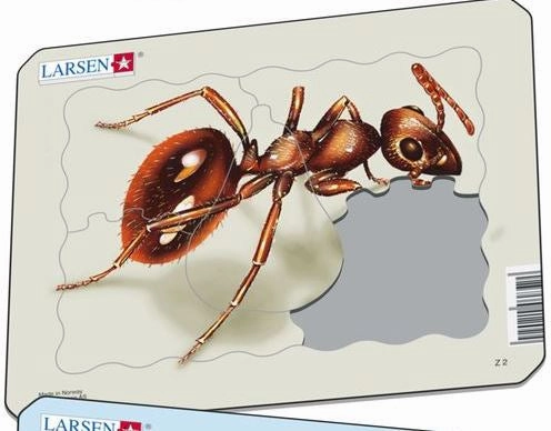 Larsen Insects Small Frame Tray Puzzle Ant
