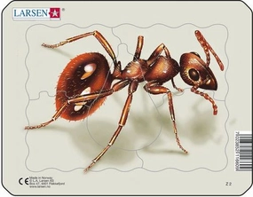 Larsen Insects Small Frame Tray Puzzle Ant