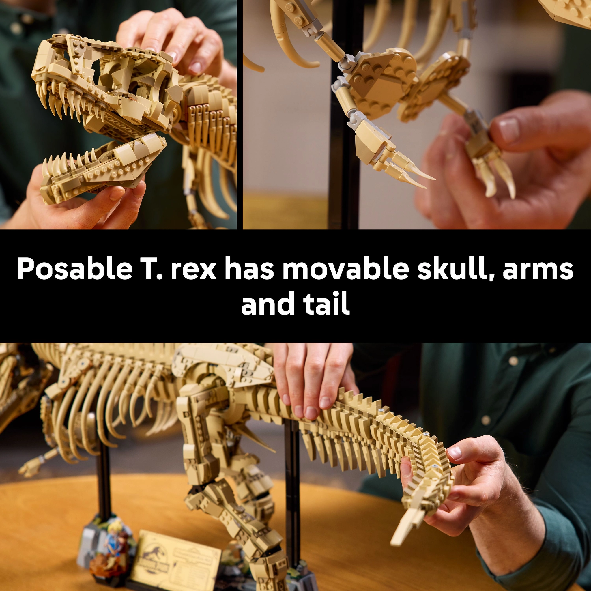 LEGO 76968 Jurassic World Dinosaur Fossils: Tyrannosaurus Rex