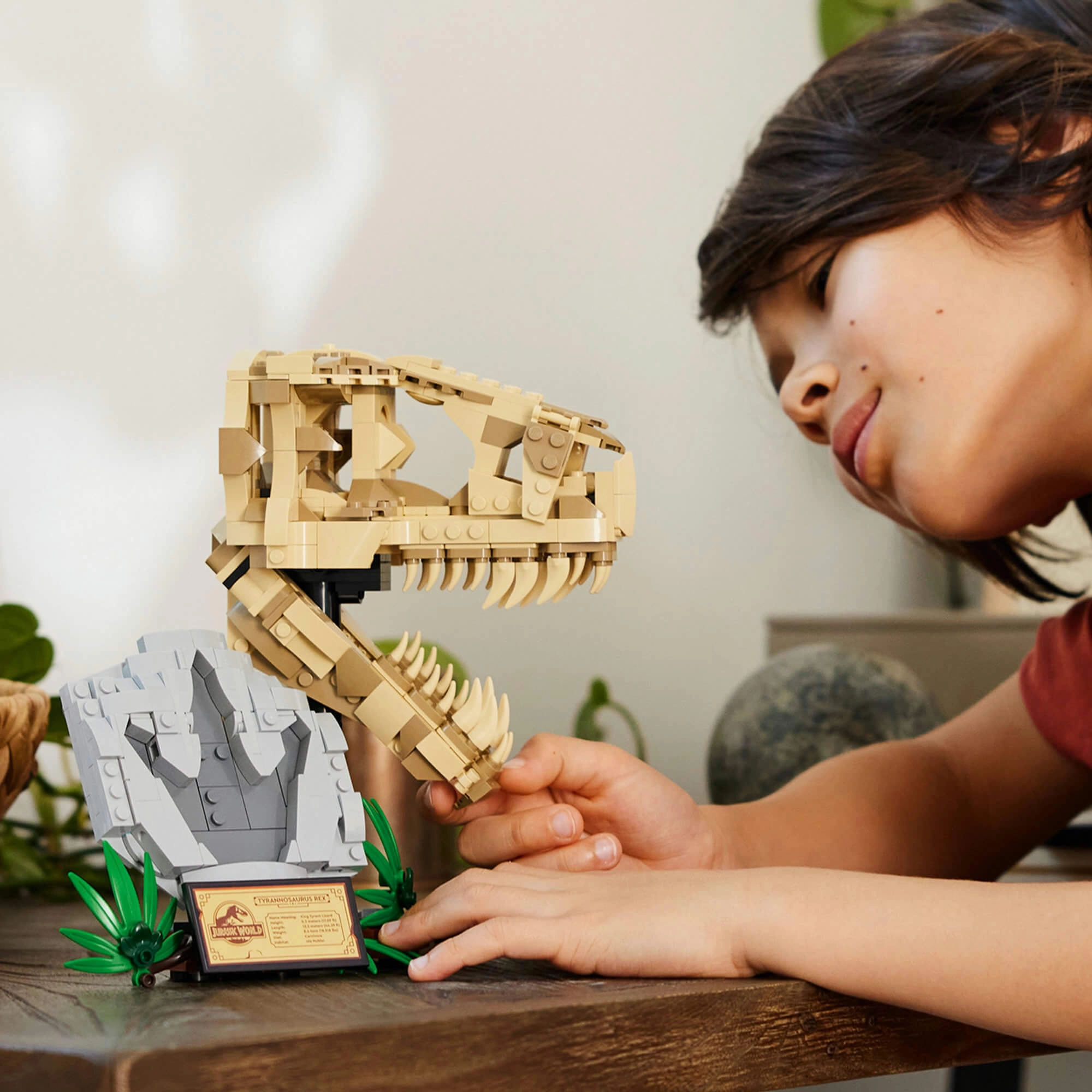 Lego Jurassic World 76964 Dinosaur Fossils: T.rex Skull for Ages 9 