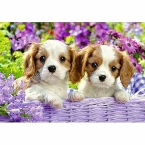 Me and my pal