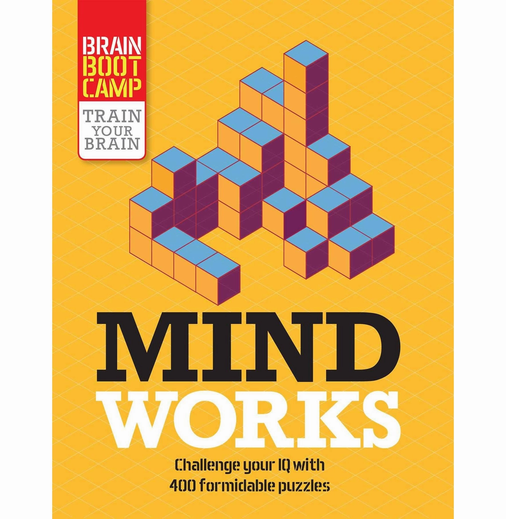 Mind Works: Ten IQ Tests from the Masters of Intelligence Moore Gareth and Jones Graham