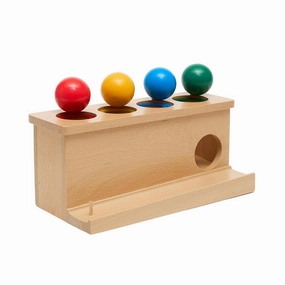 Object Permanence Coloured Ball Push Toy