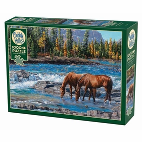 On the Rocks 1000pc