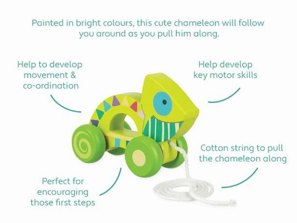 Orange Tree Toys Wooden Chameleon Pull Along Toy for Ages 1 and Up