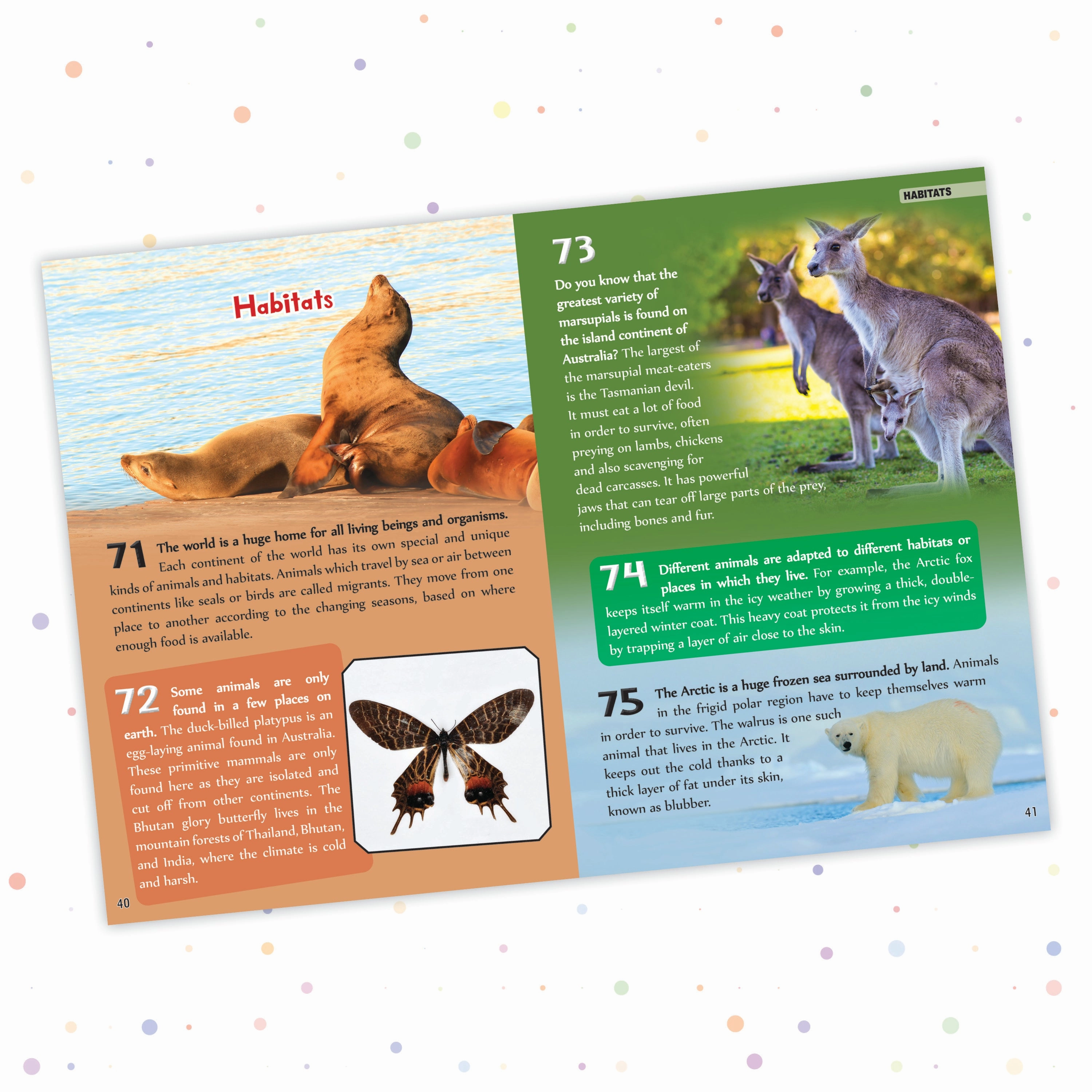 Pegasus Animals - 500 Facts for Kids