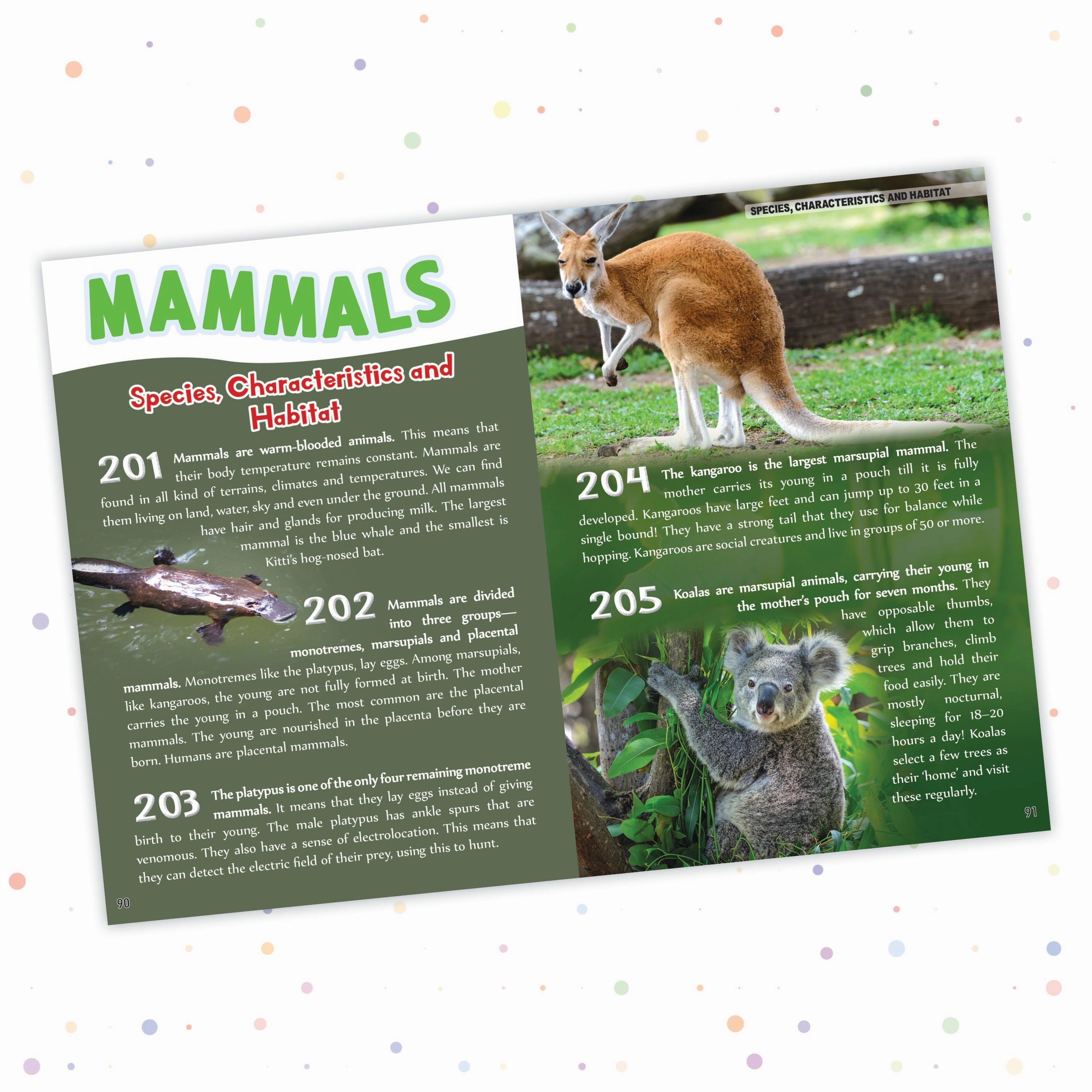 Pegasus Animals - 500 Facts for Kids