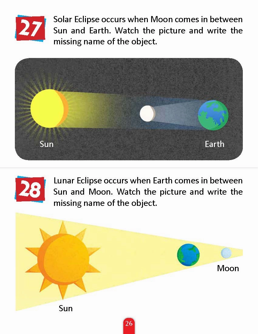 Pegasus Nature Activity Book