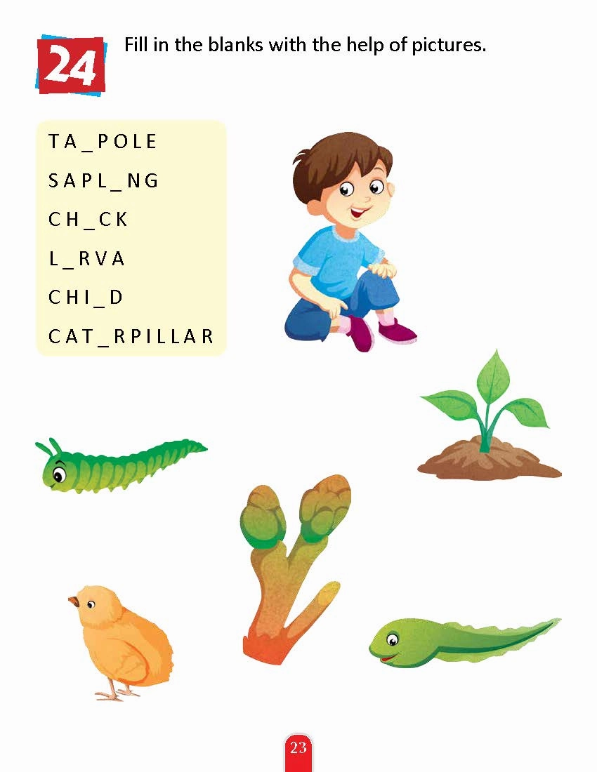Pegasus Nature Activity Book