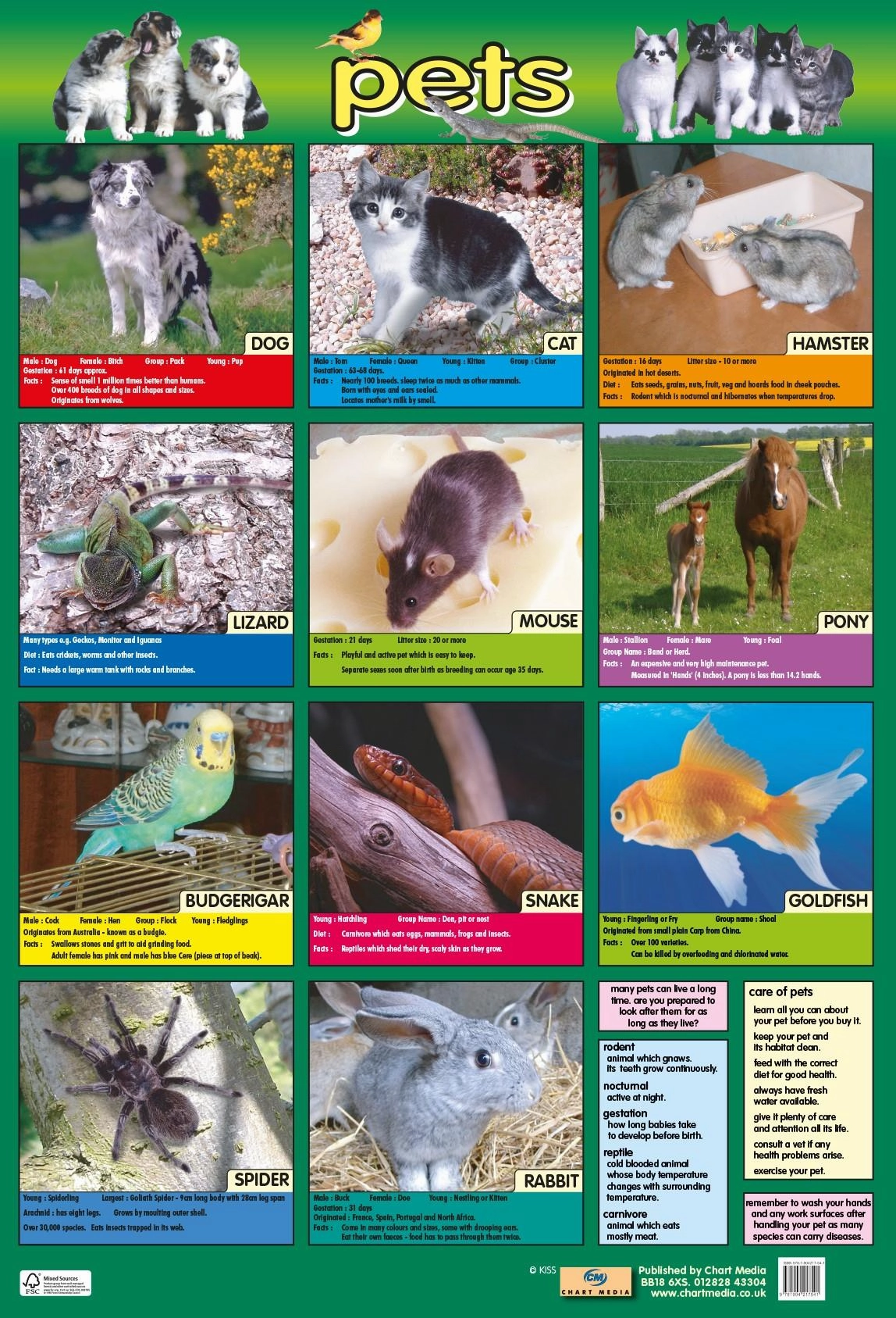 Pets Wall Chart 60 x 40 cm