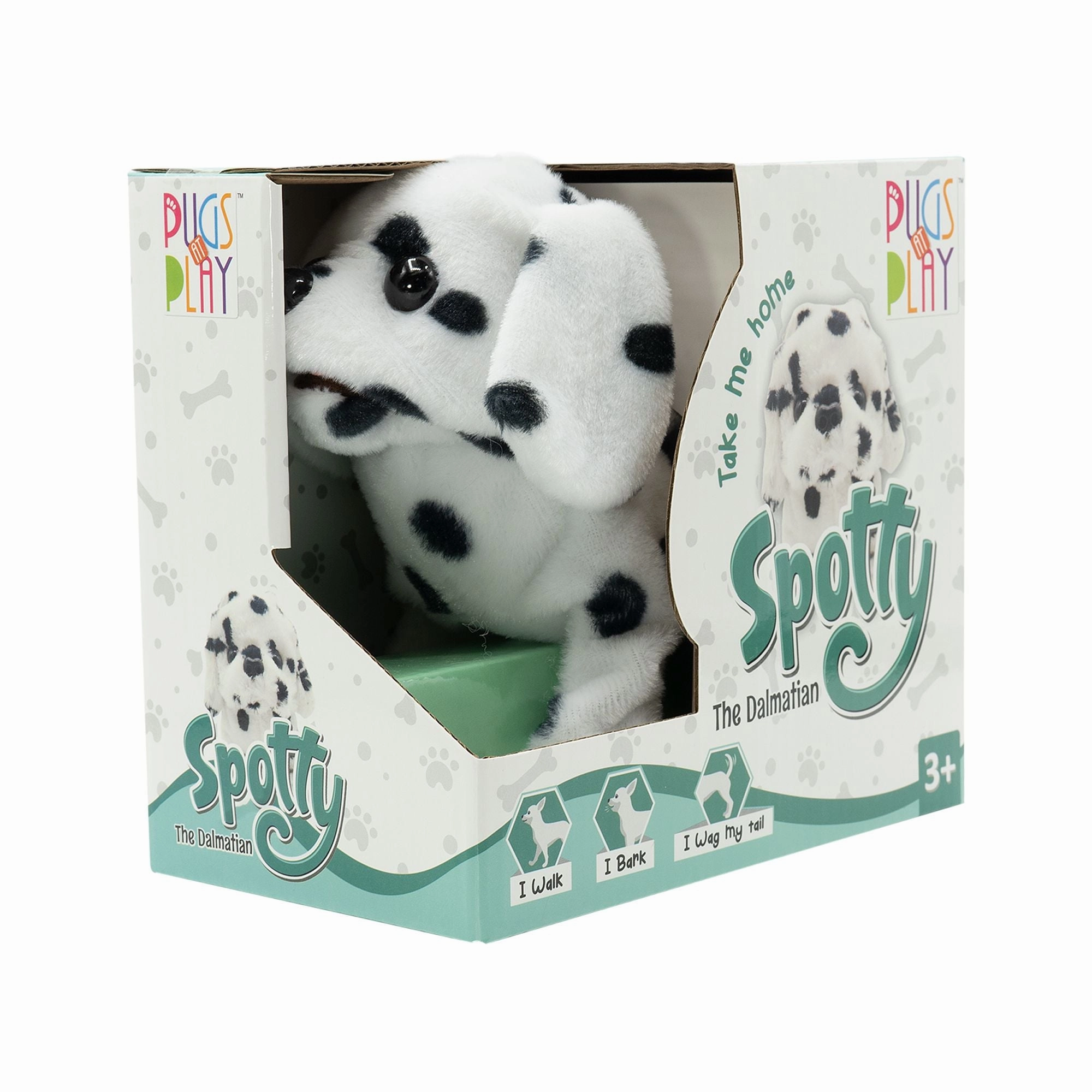 Pugs At Play Spotty The Dalmatian Walking Dog