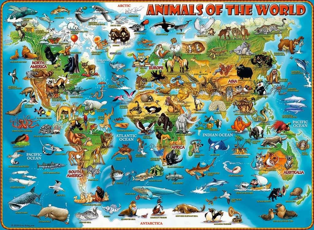 Ravensburger Animals of the World 300 XXL Piece Jigsaw for Ages 9 & Up